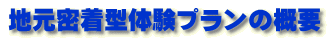 地元密着型体験プランの概要